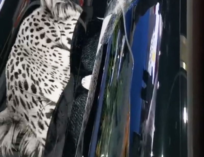 Posters-and-advertisements